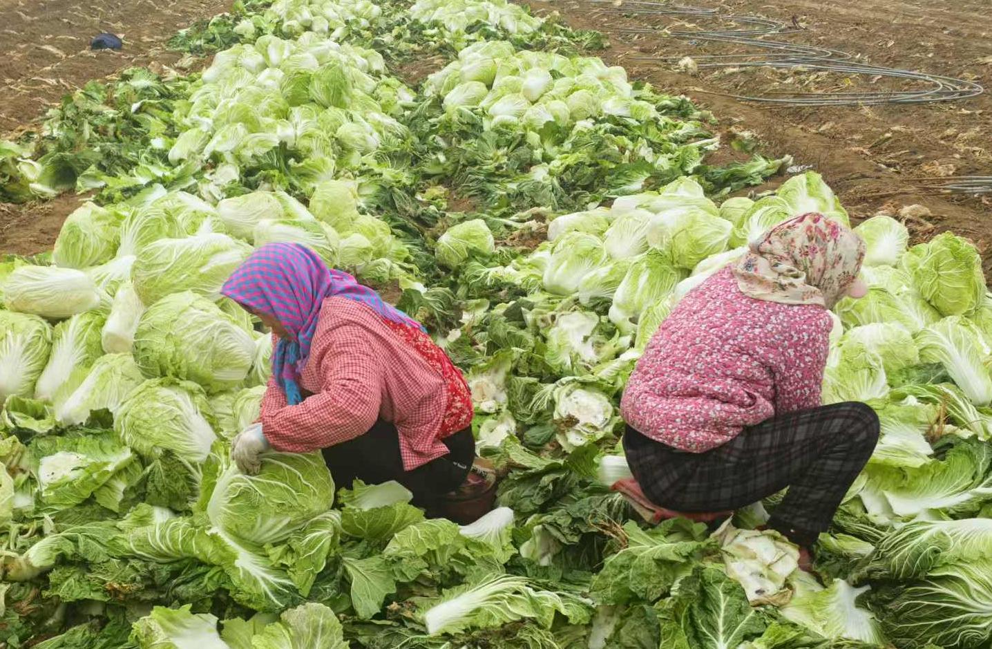 6d0eb9171fa991c61964dcfa92a9e65.jpg 6d0eb9171fa991c61964dcfa92a9e65.jpg